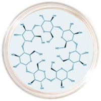Cydic Oligosaccharide